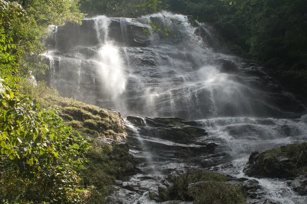 Sunlit Forest Waterfall