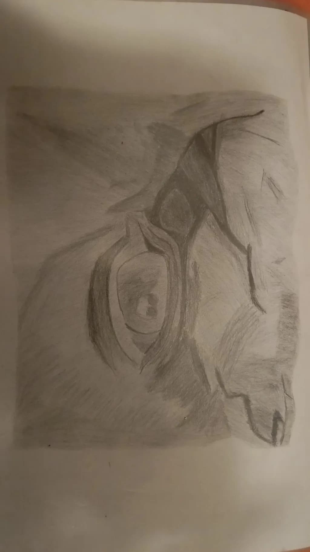 Pencil Portrait in Profile