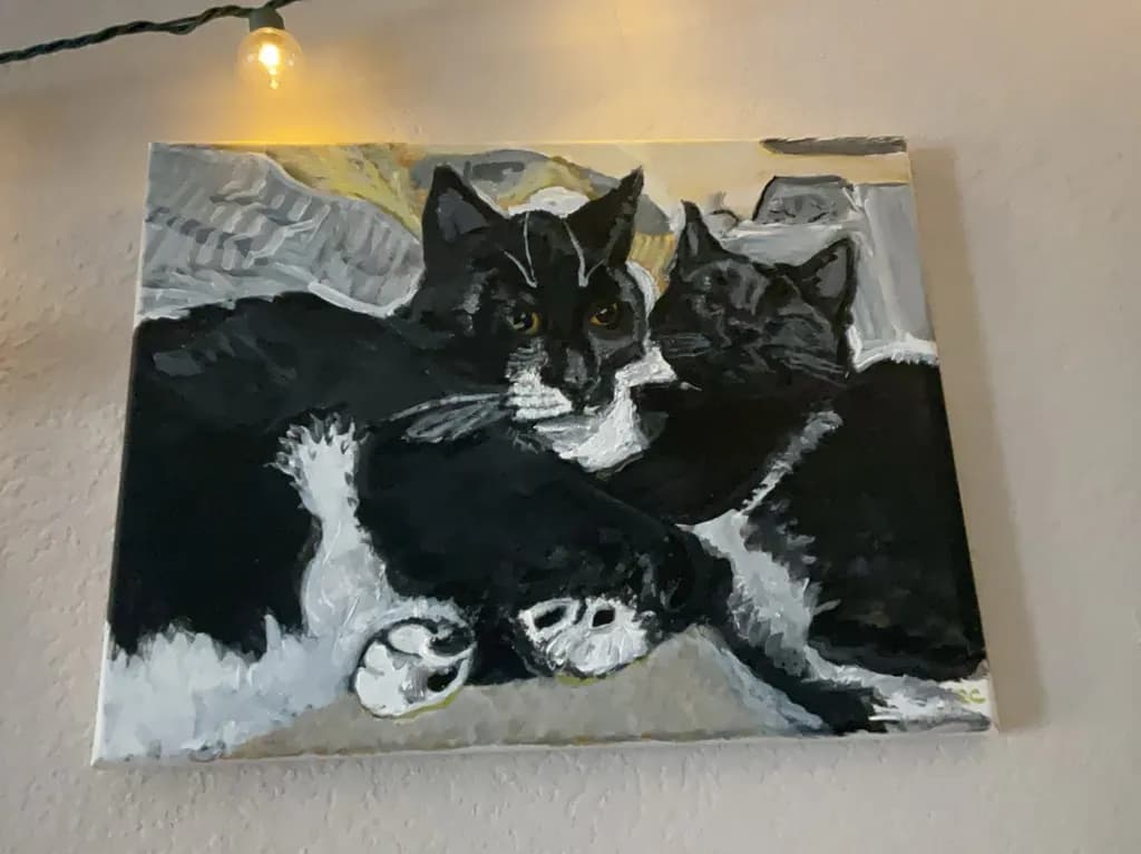 Midnight Cats