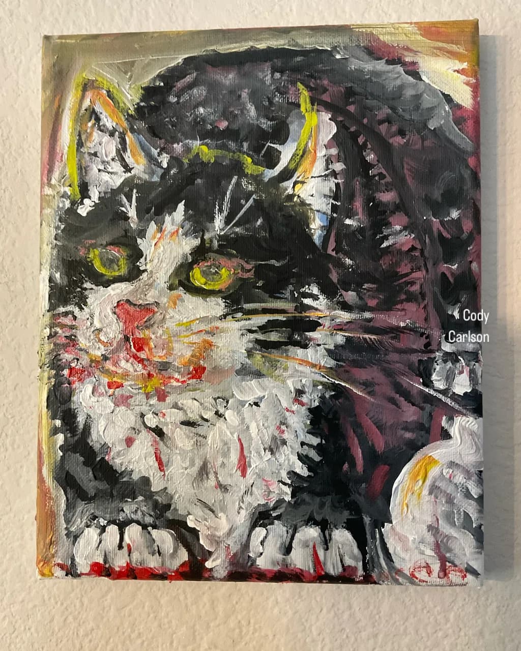 Expressive Cat Portrait