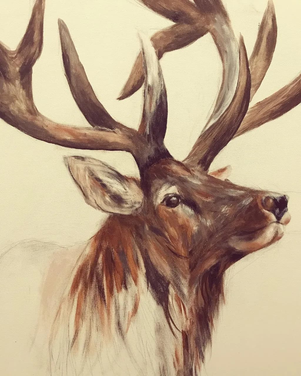 Antlered Stag
