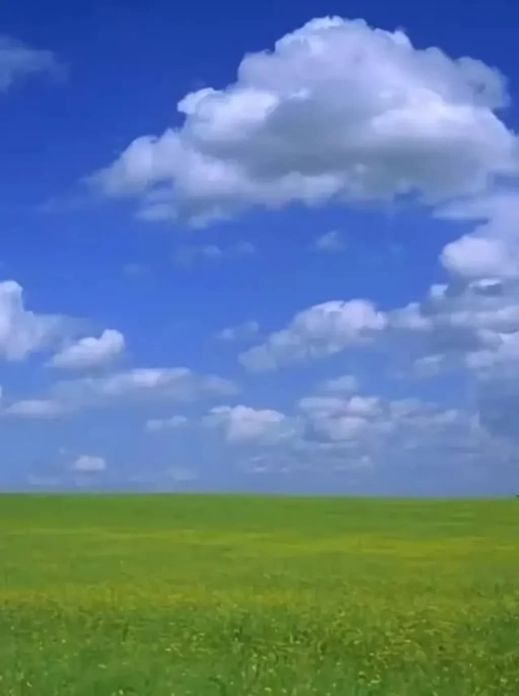 Open Sky Meadow