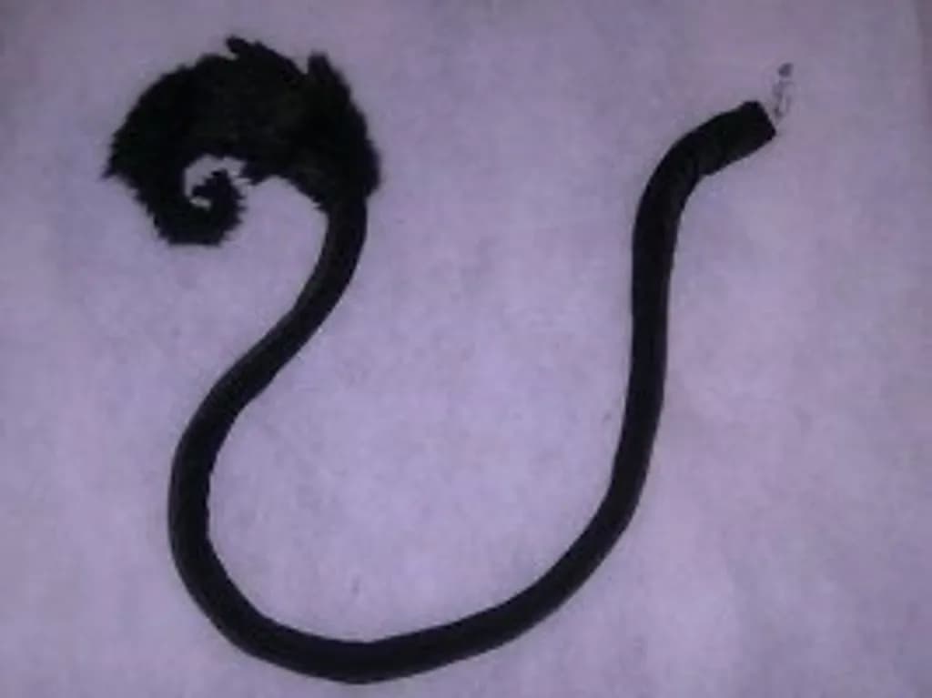 Curled Silhouette