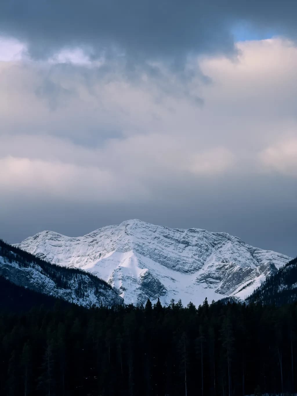 Snowbound Mountain Forest
