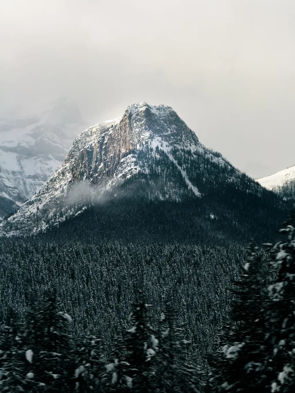 Snowbound Mountain Forest