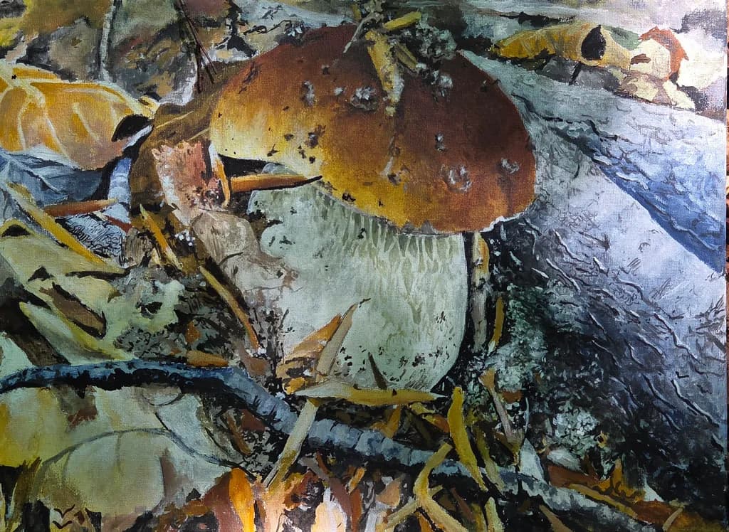 Mushrooms on Forest Floor