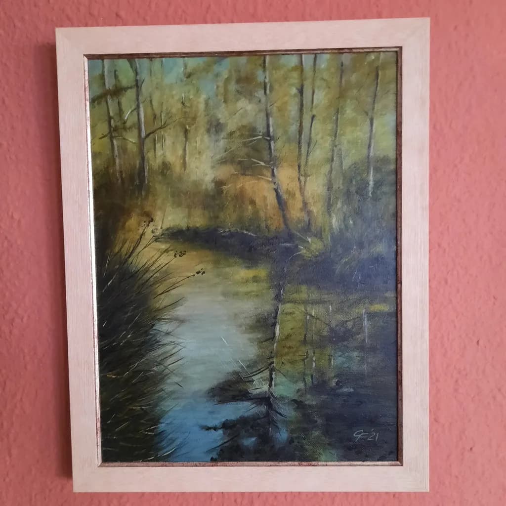Forest Stream Reflections