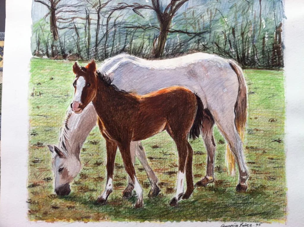 Pasture Companions