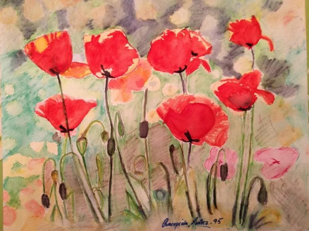 Crimson Poppy Field