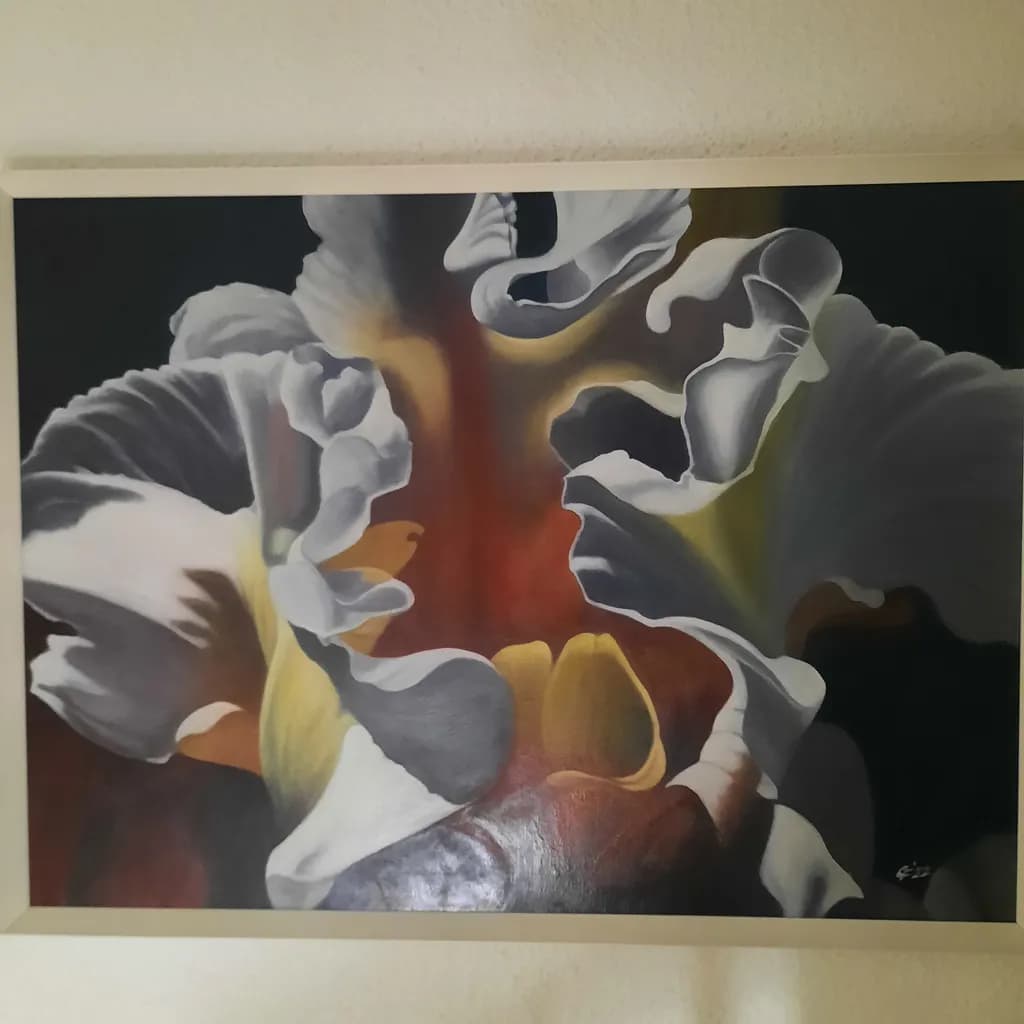 Chiaroscuro Orchid Bloom
