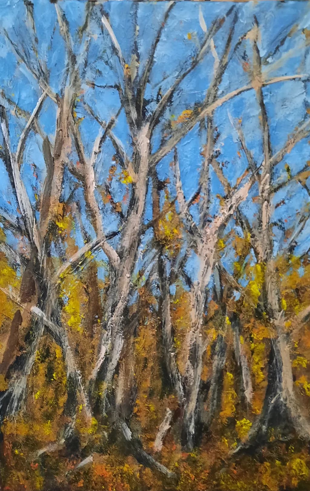 Autumn Trees Against Blue