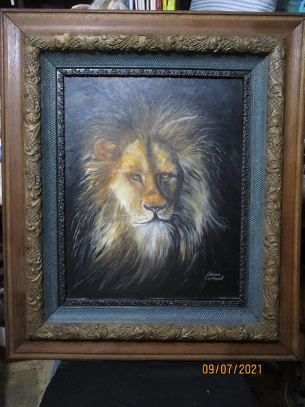 Golden-Maned Lion