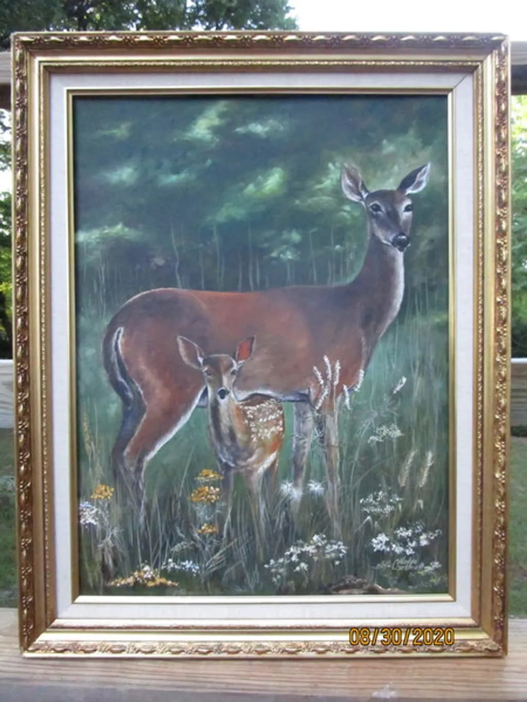 Doe and Fawn Meadow