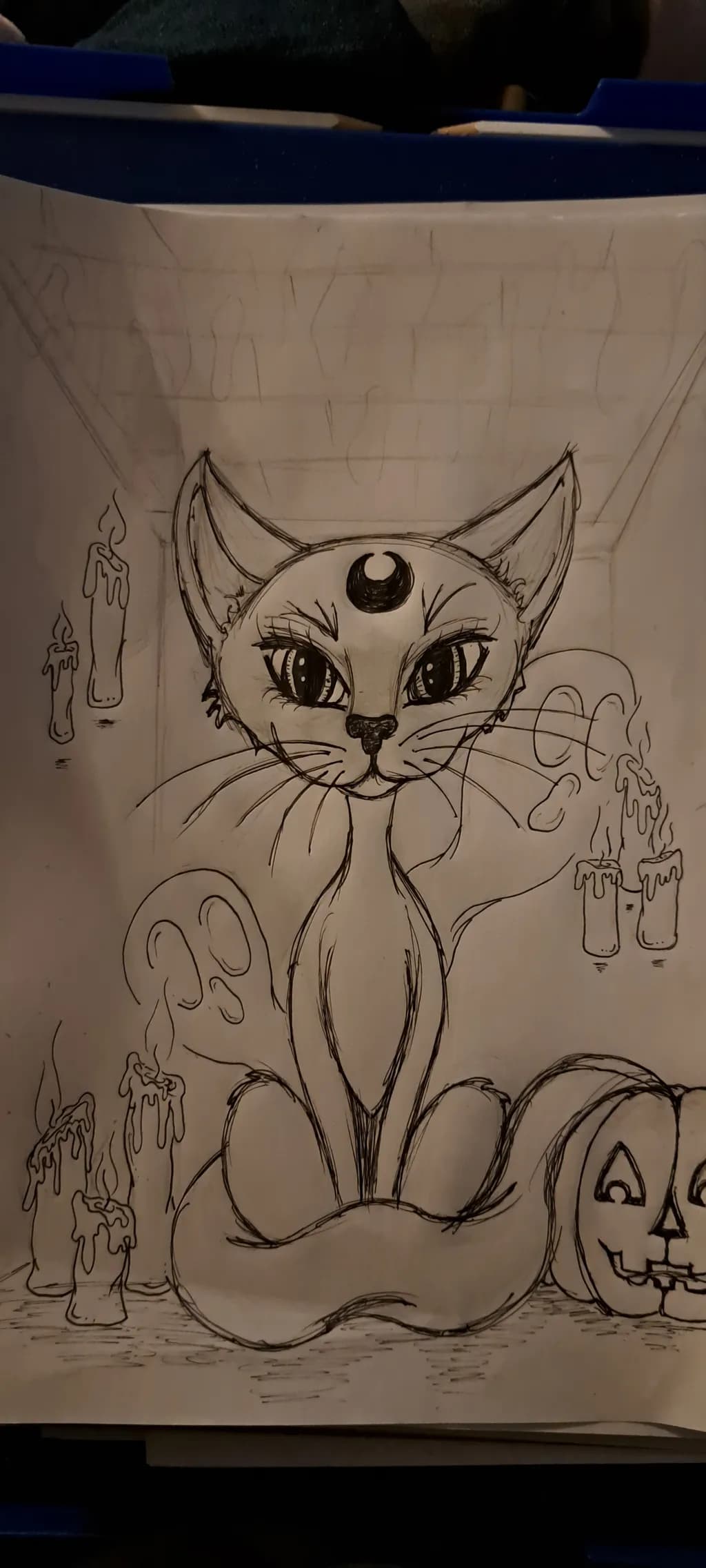 Crescent Cat Coven
