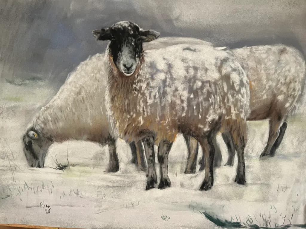 Sheep in Winter Pasture
