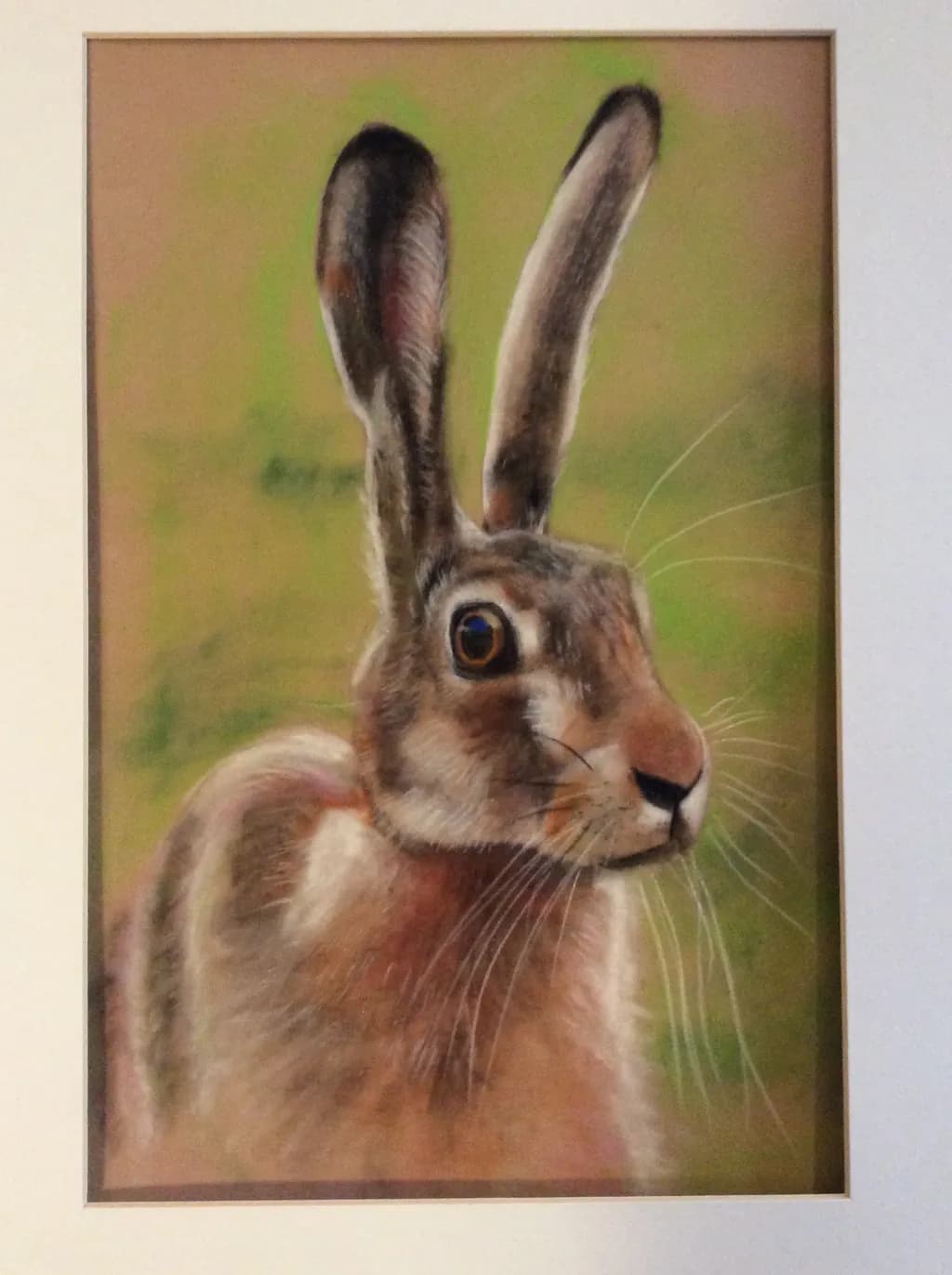 Alert Hare Portrait