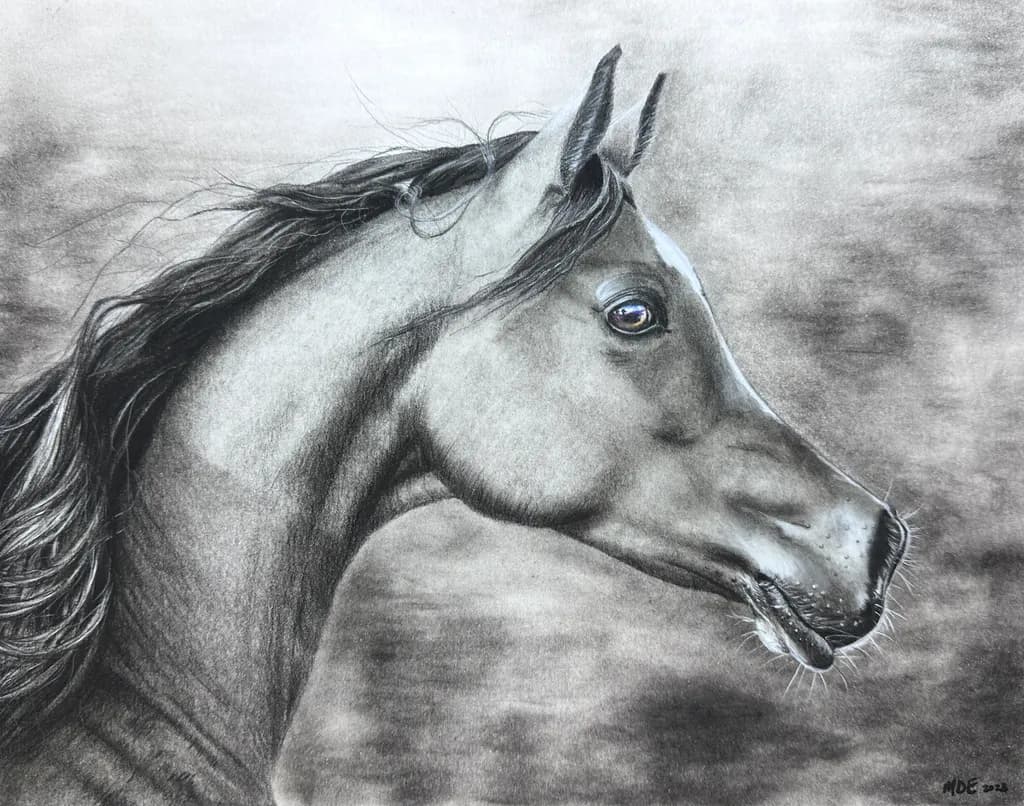 Thoughtful Horse Portrait