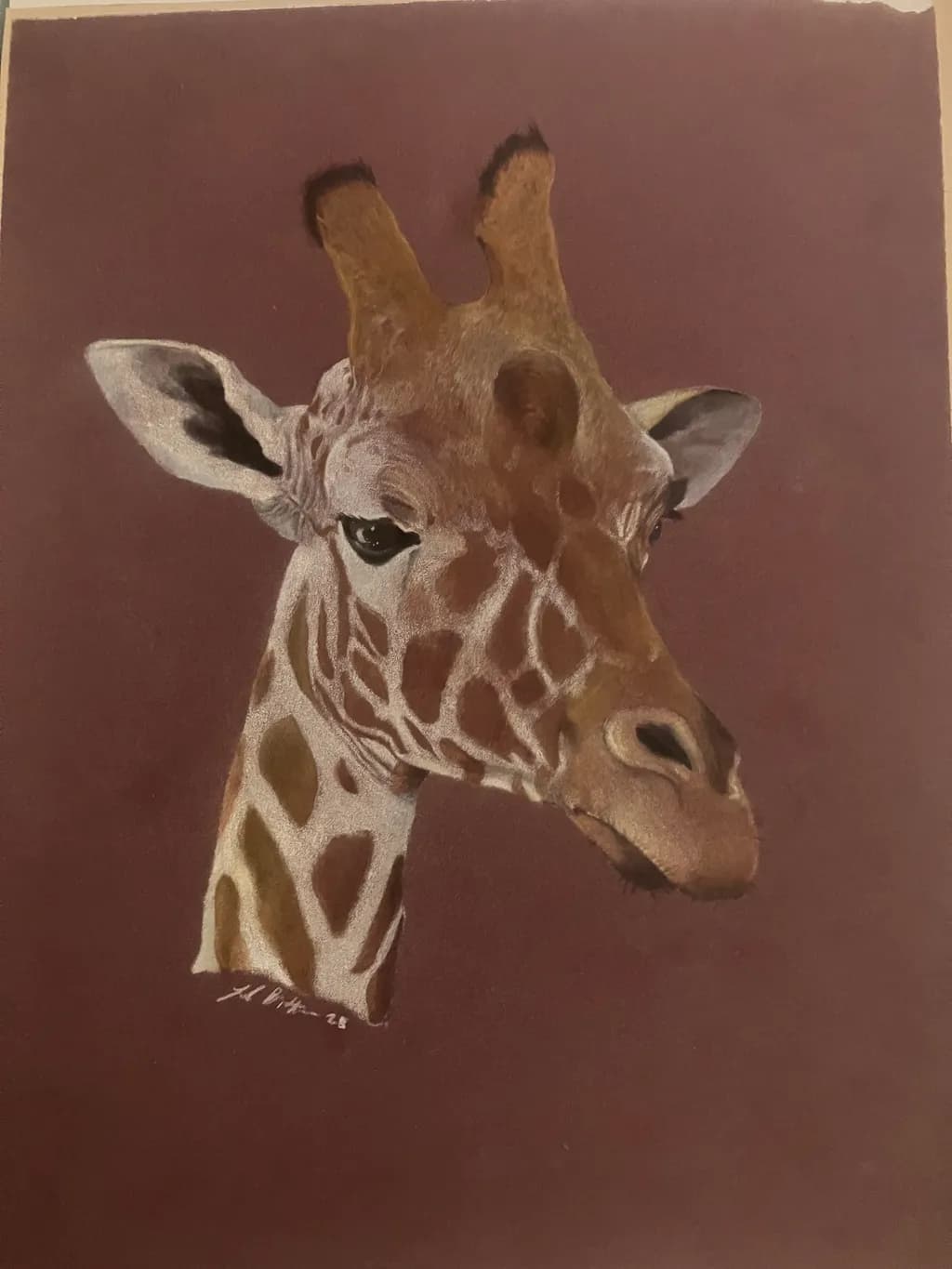 Giraffe Portrait in Sepia
