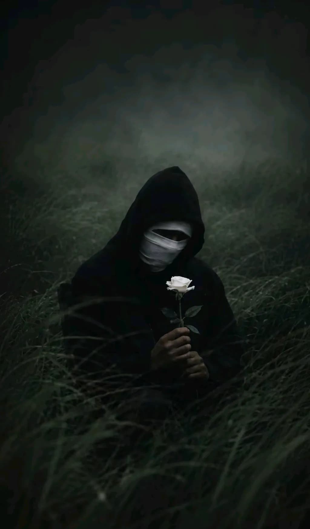 The Masked Rose