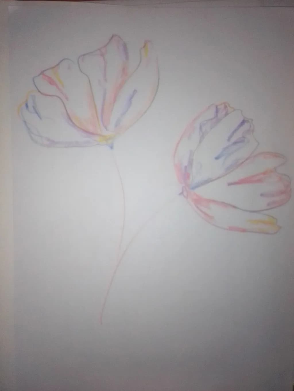 Pastel Flower Sketch