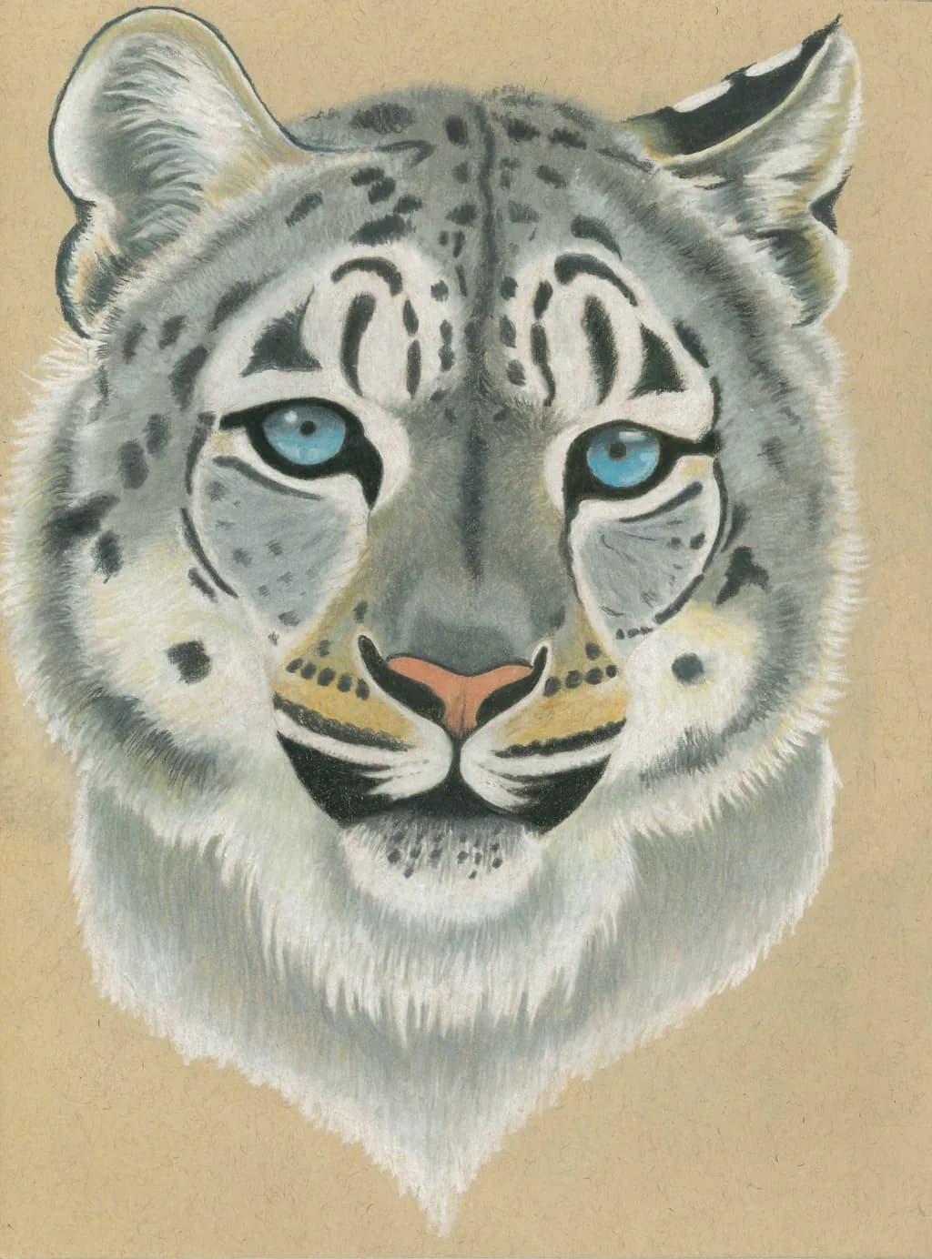 Snow Leopard