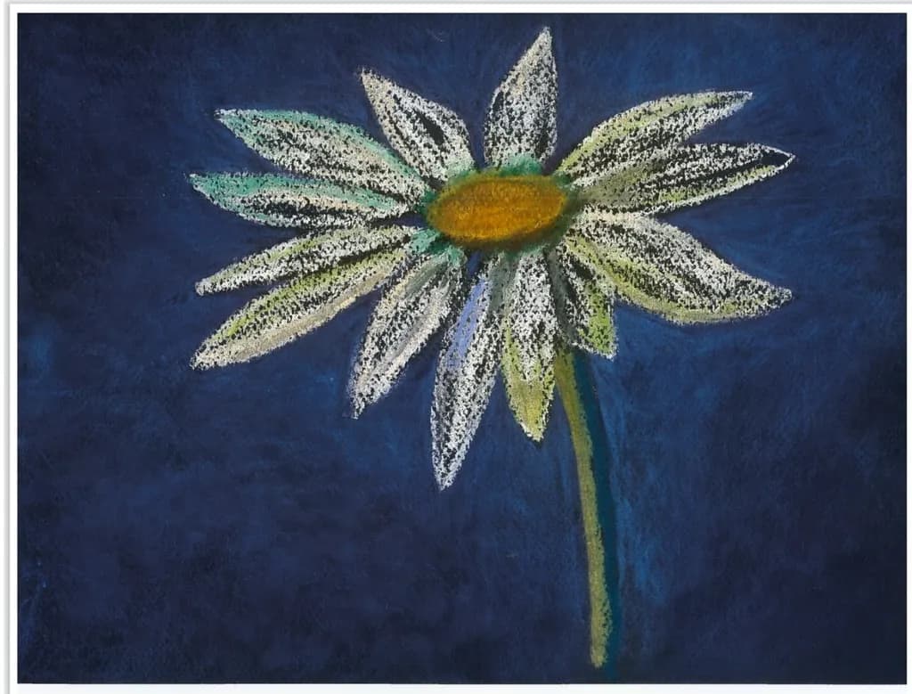 Daisy Against Midnight