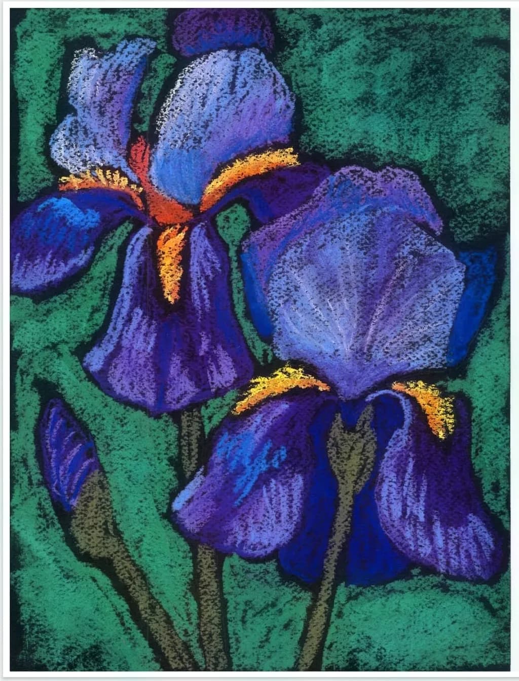 Blue Iris Bloom