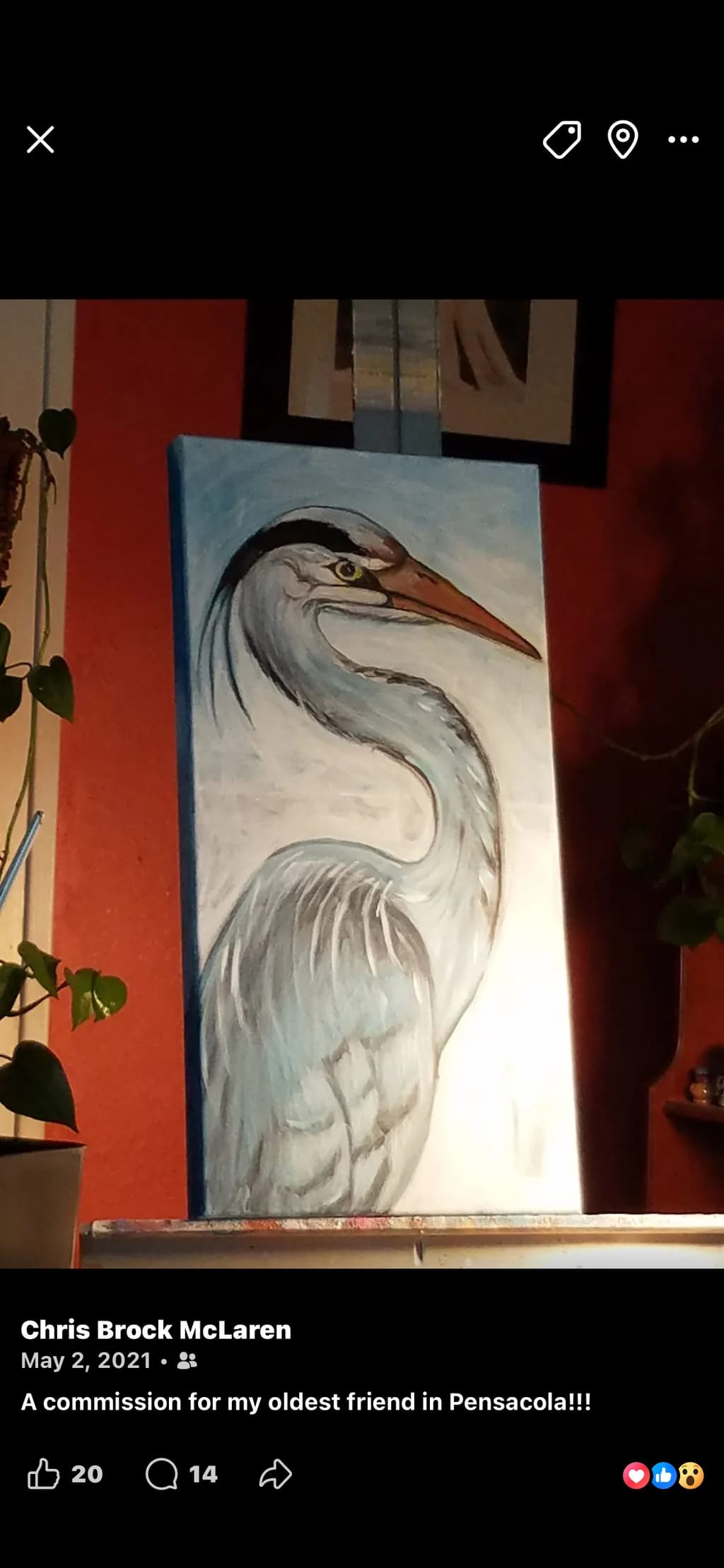 Heron in Profile