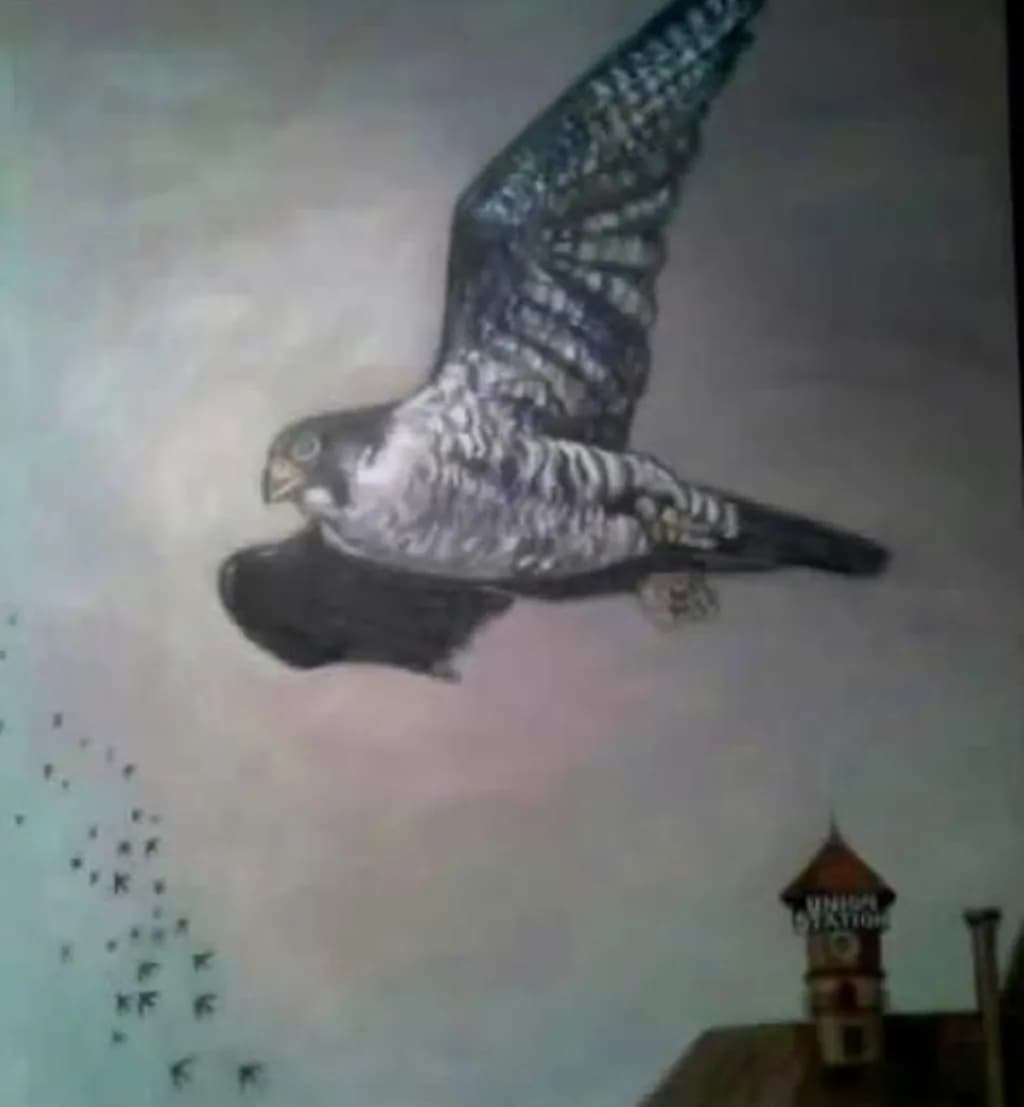 Falcon in Flight