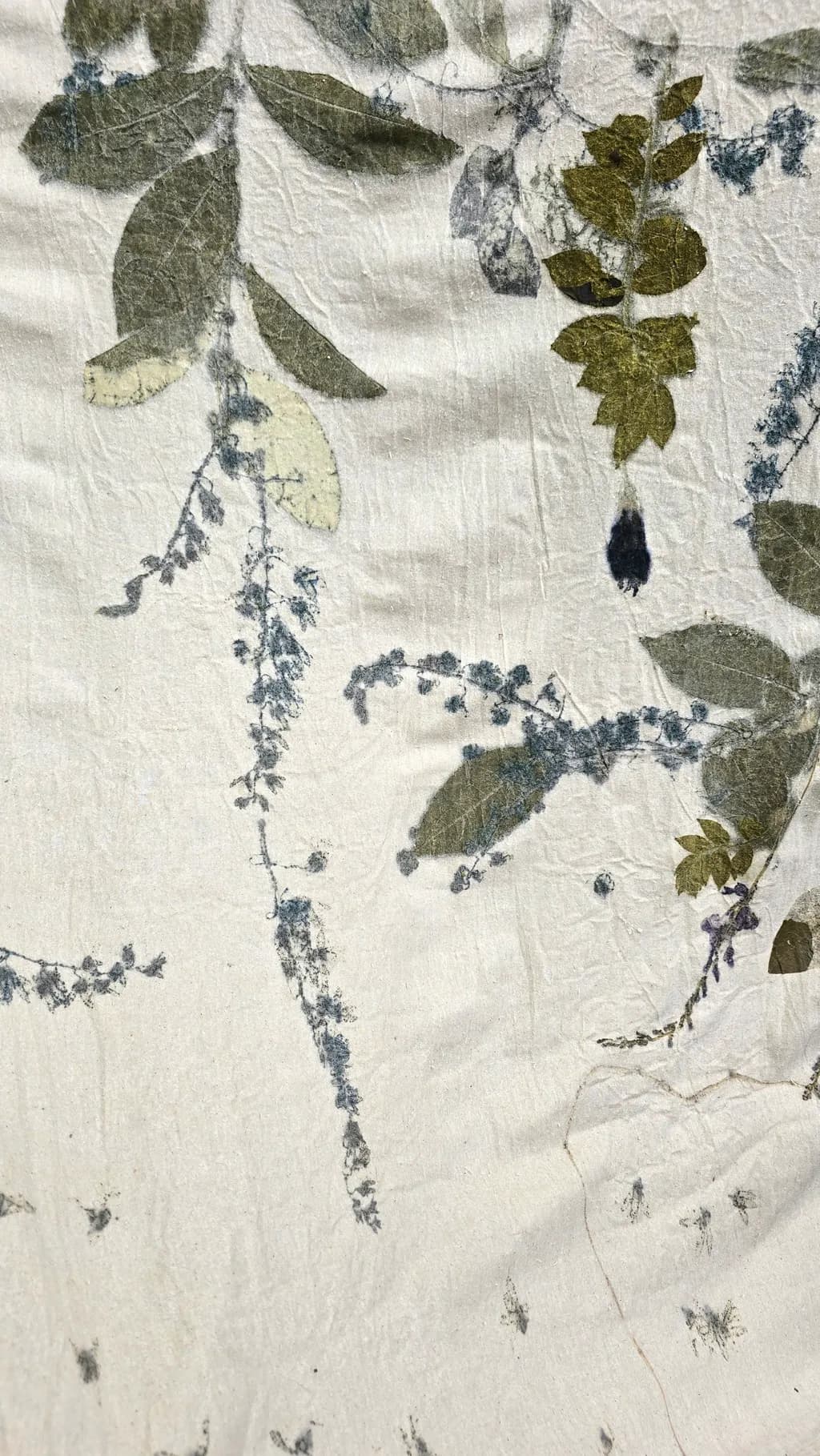 Pressed Botanical Study