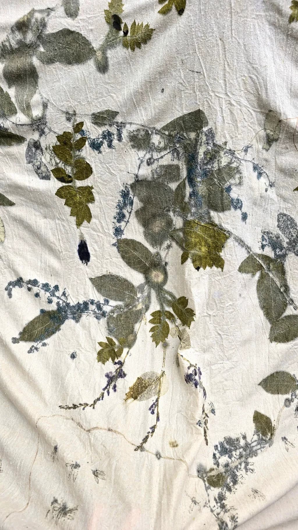 Pressed Botanical Impressions