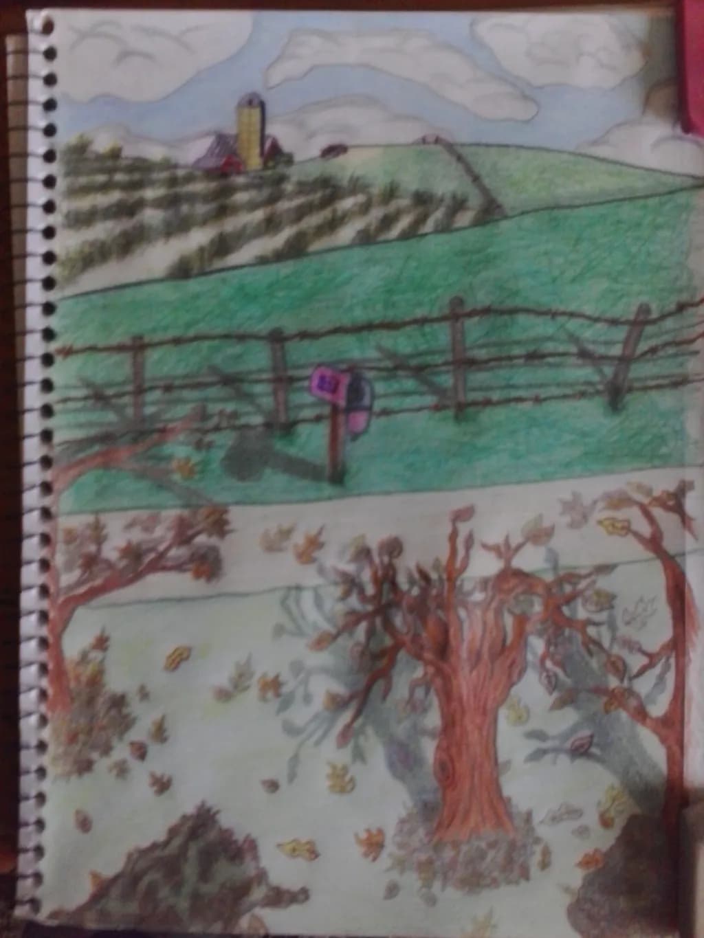 Farmhouse Tree and Mailbox