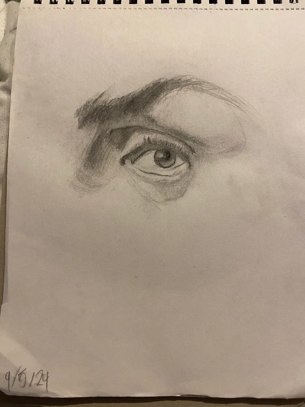 Observant Eye Study