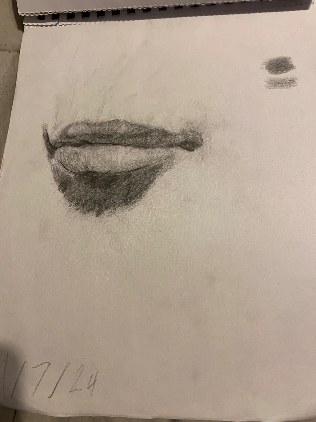 Graphite Portrait Study