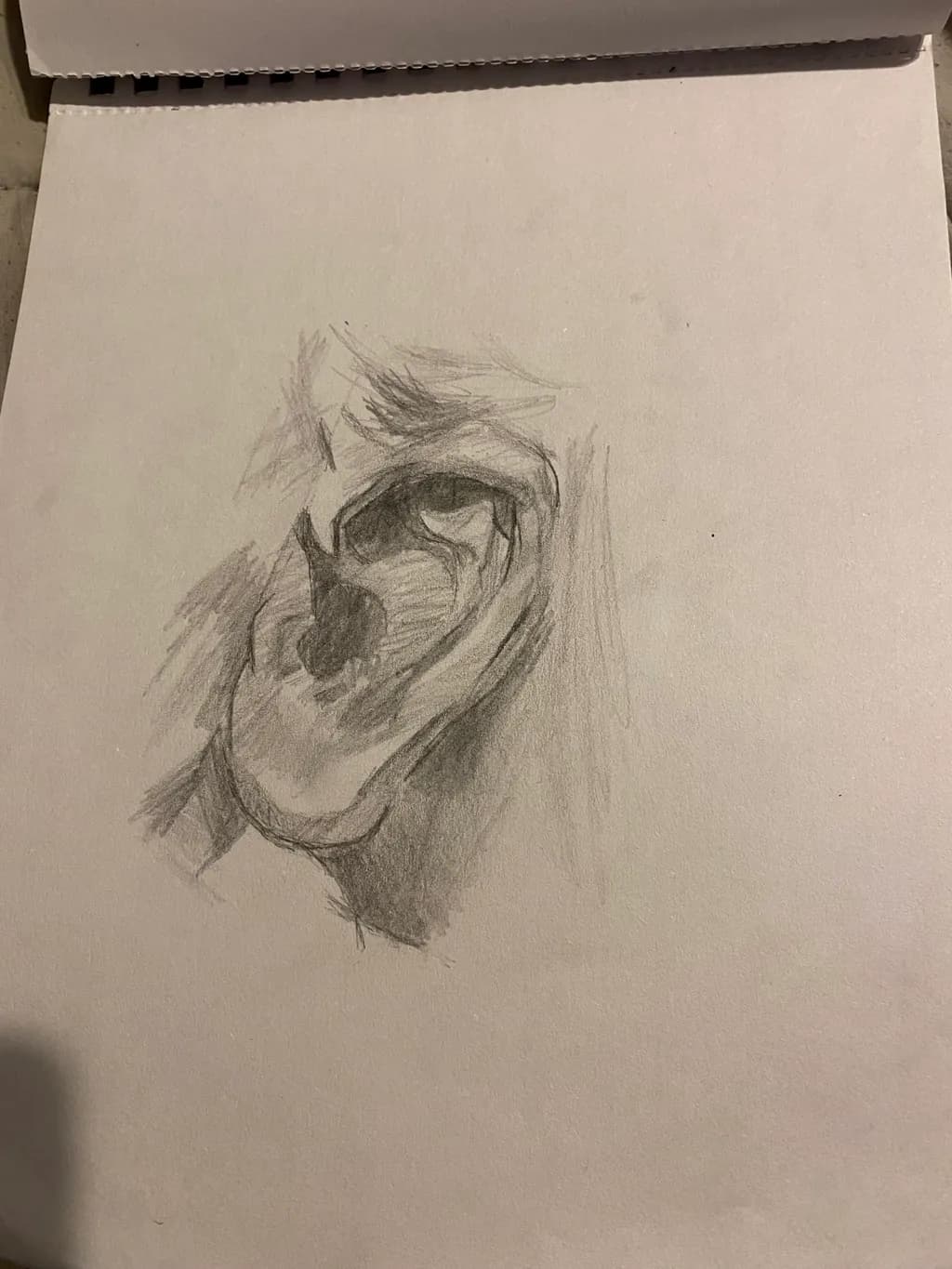 Masked Gaze