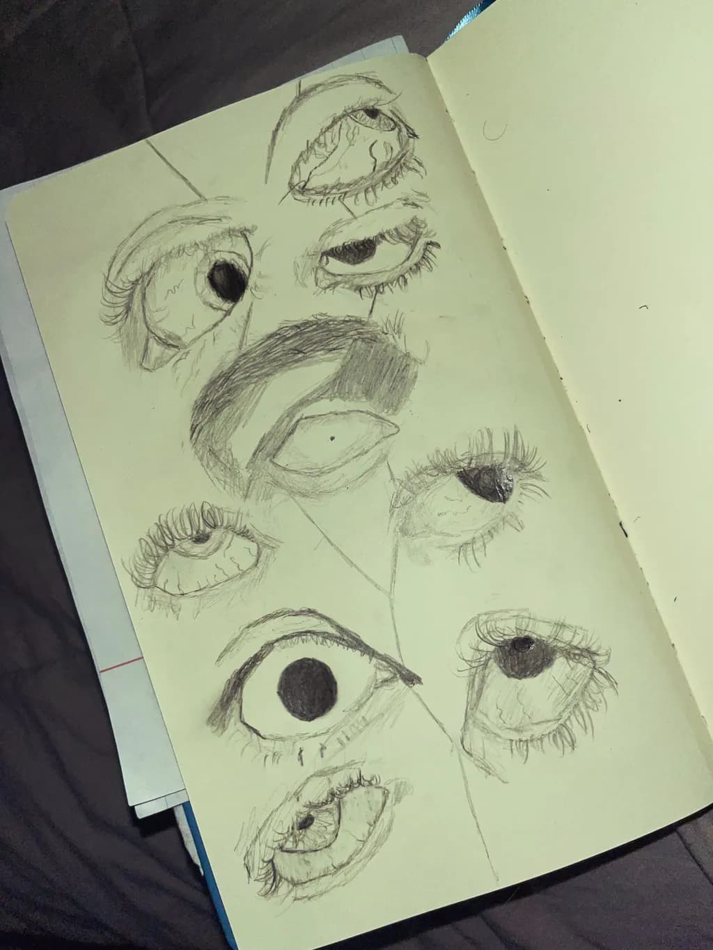 Eyes in Study