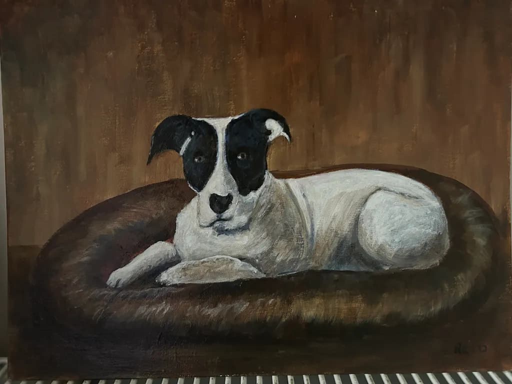 Resting Black and White Dog