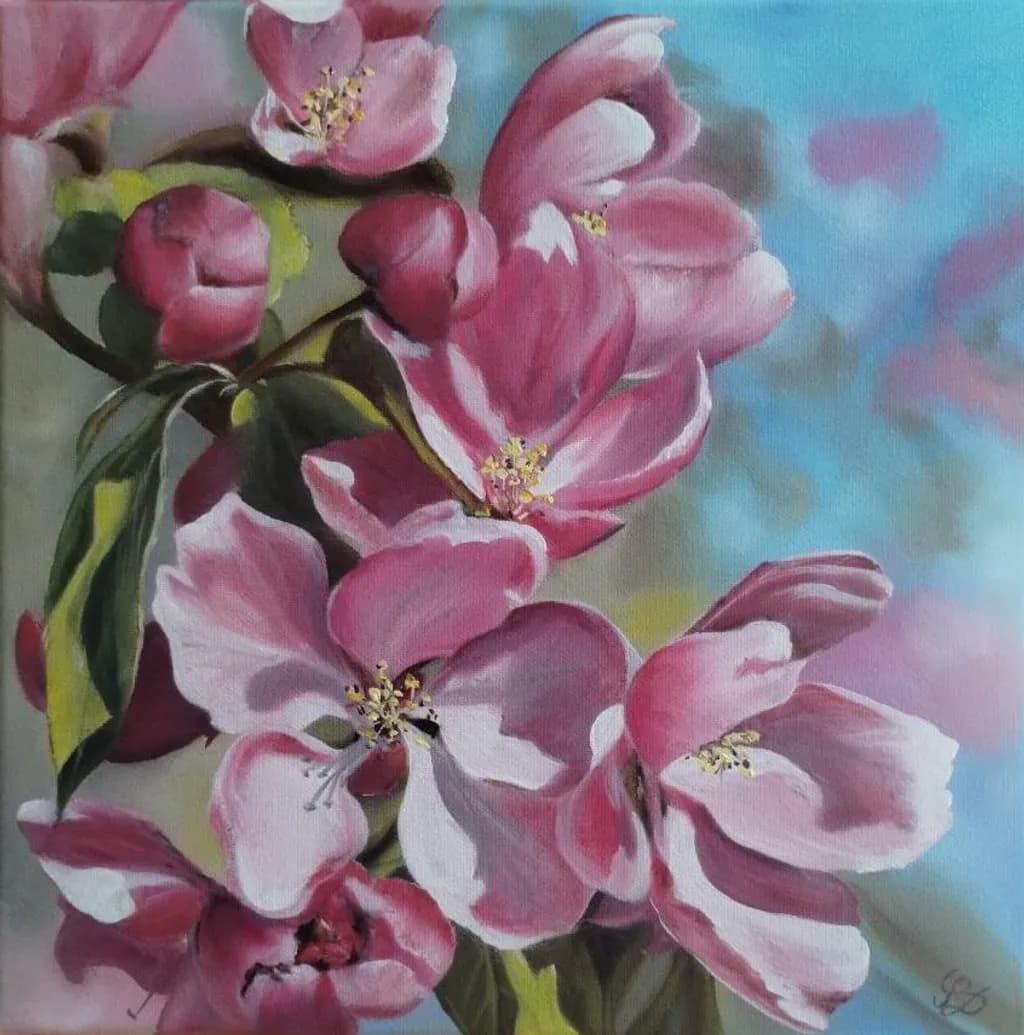 Cherry Blossoms