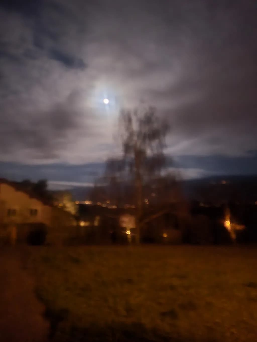Moonlit Village Tree