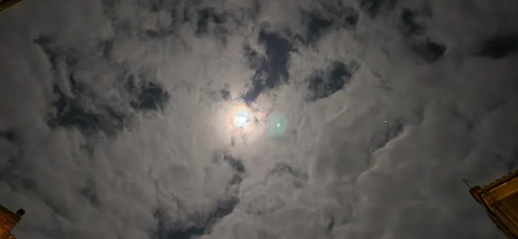 Moonlit Rooftops