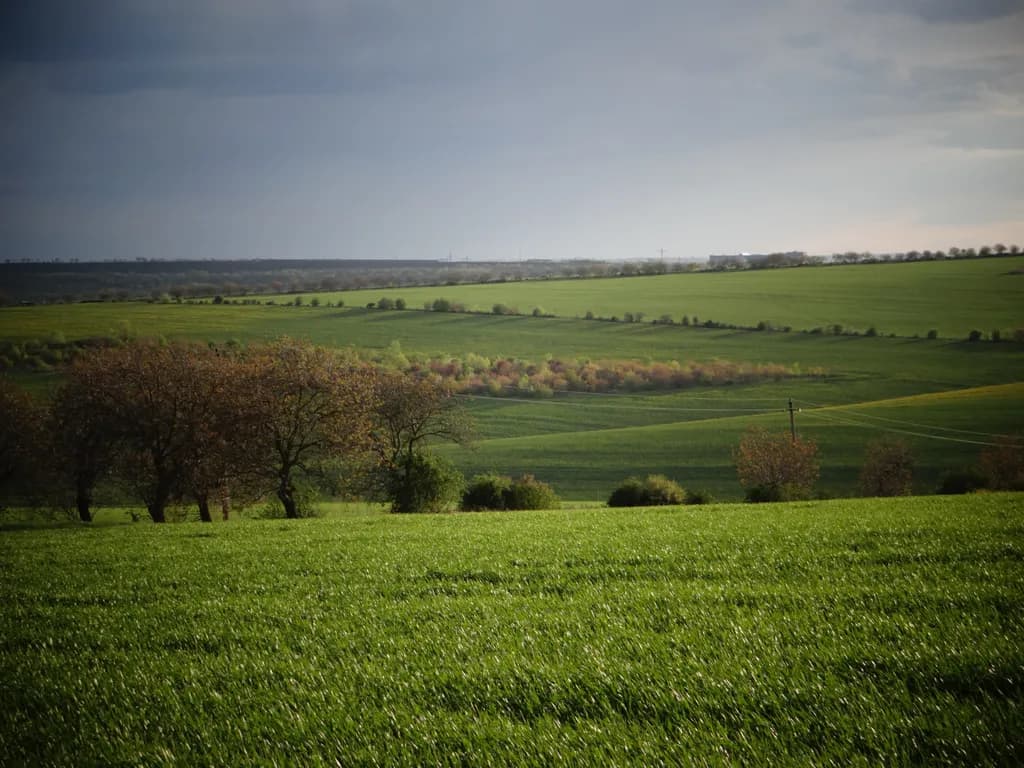 Rolling Green Fields