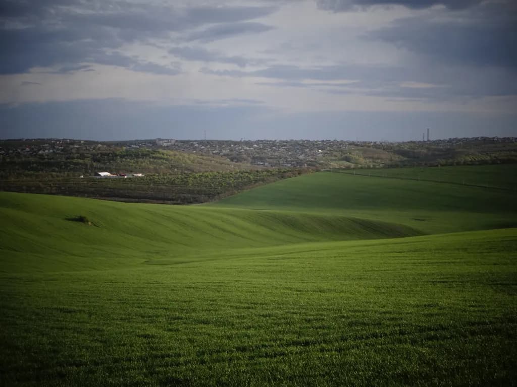 Rolling Green Fields