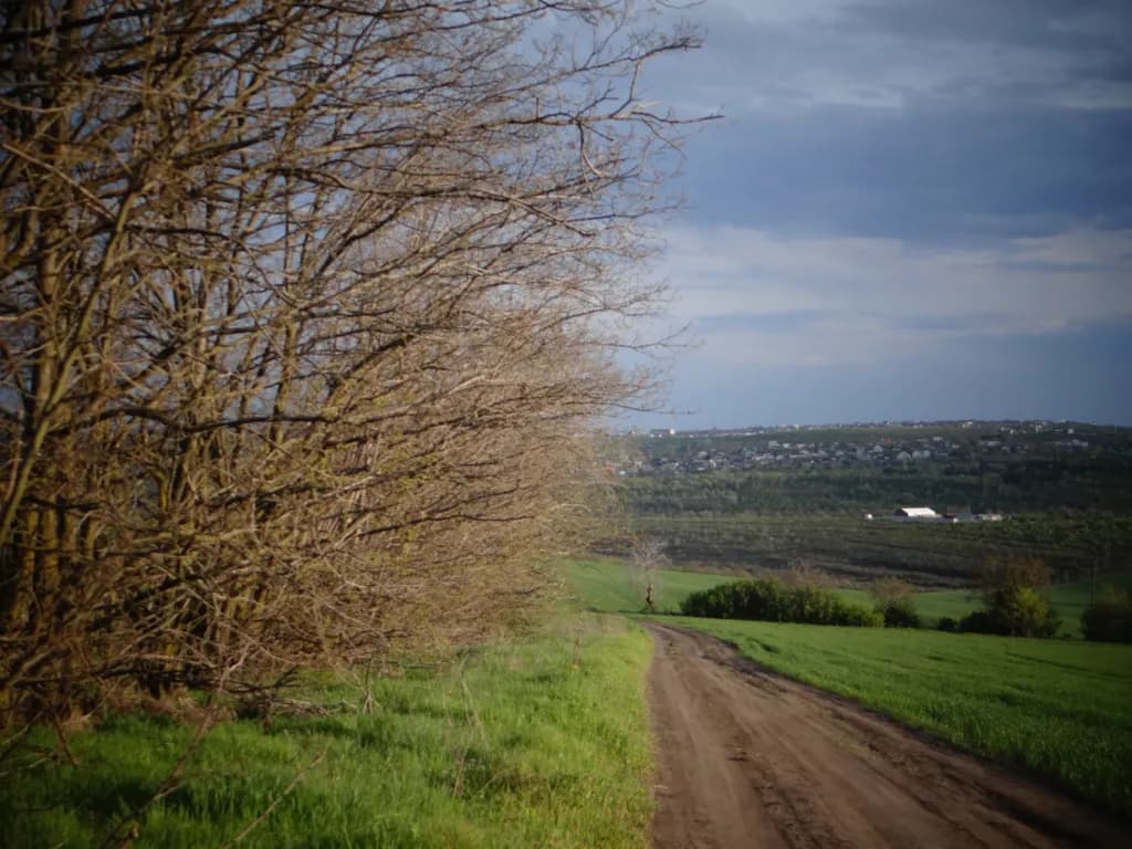 Countryside Road Beneath Storm Clouds