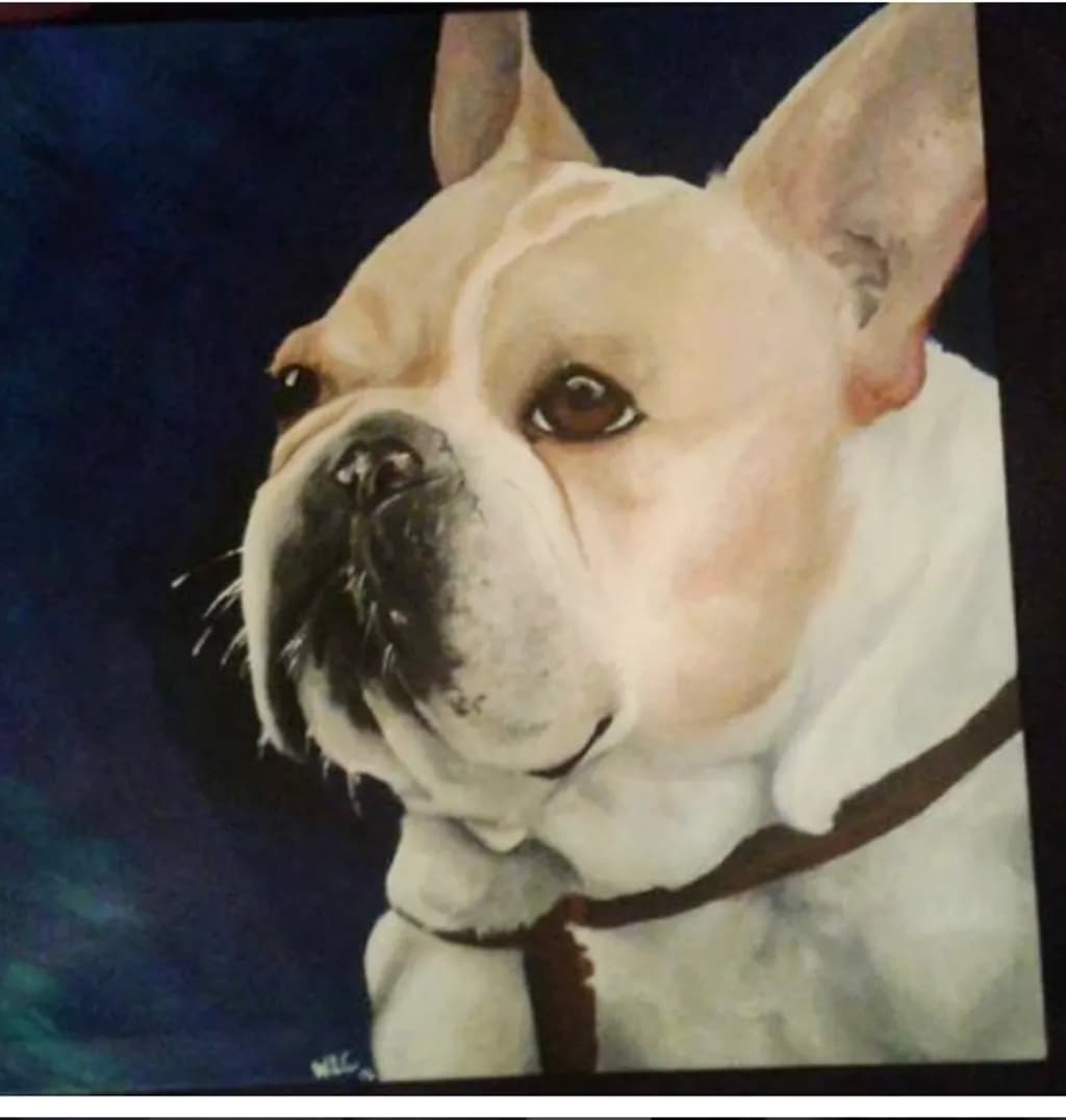 Bulldog Portrait