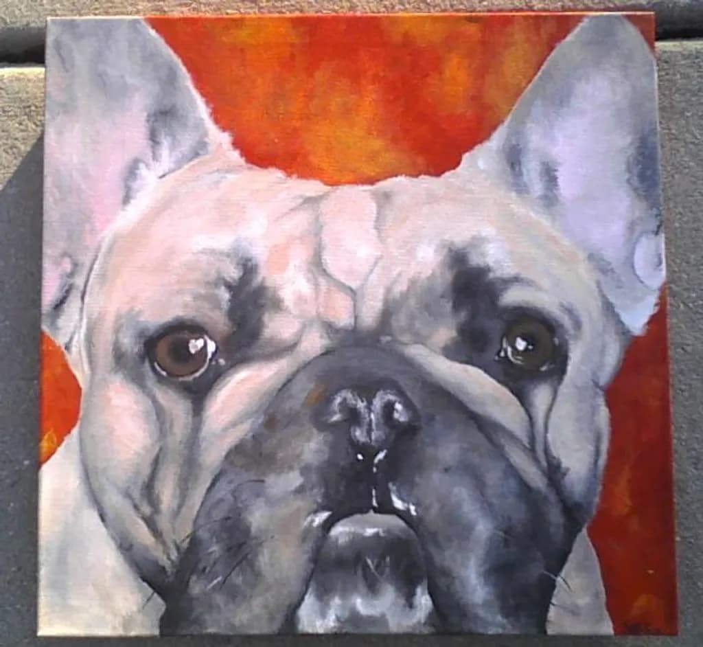 Bulldog Portrait in Red
