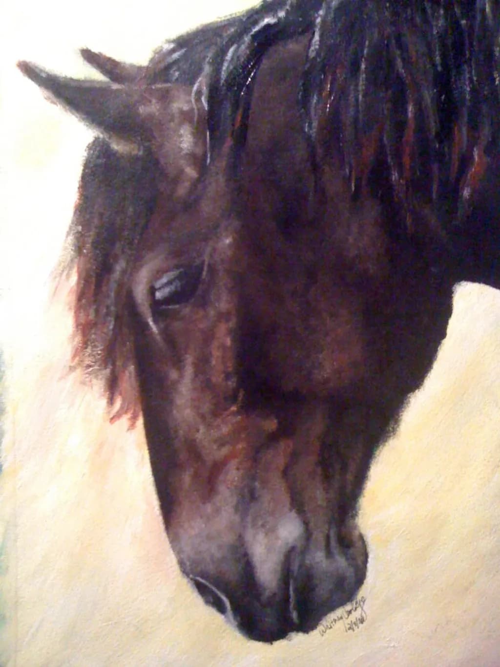 Black Horse Portrait