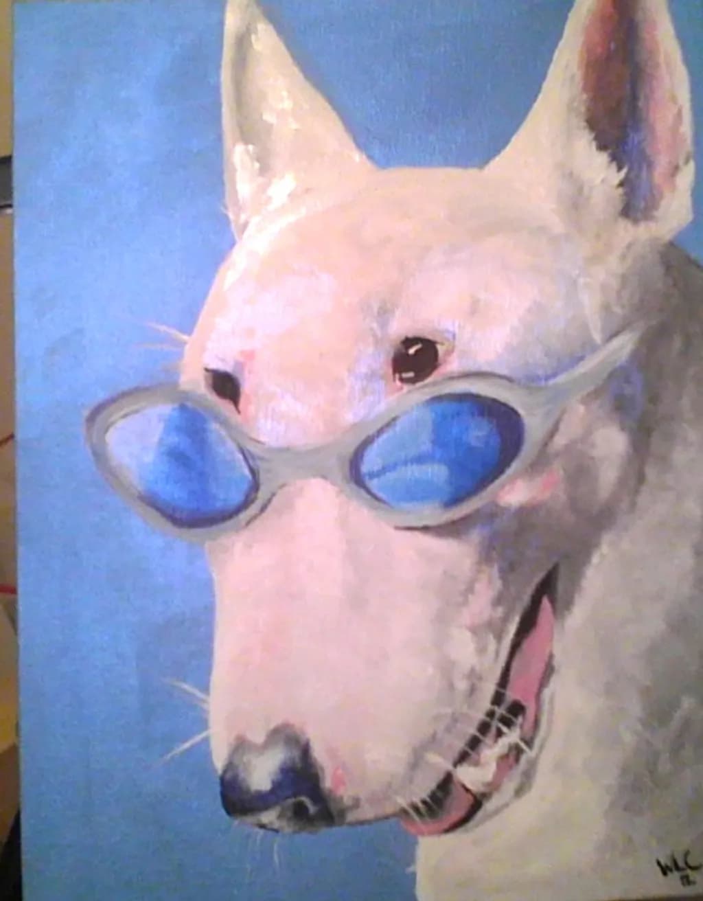 Blue Shades Cat