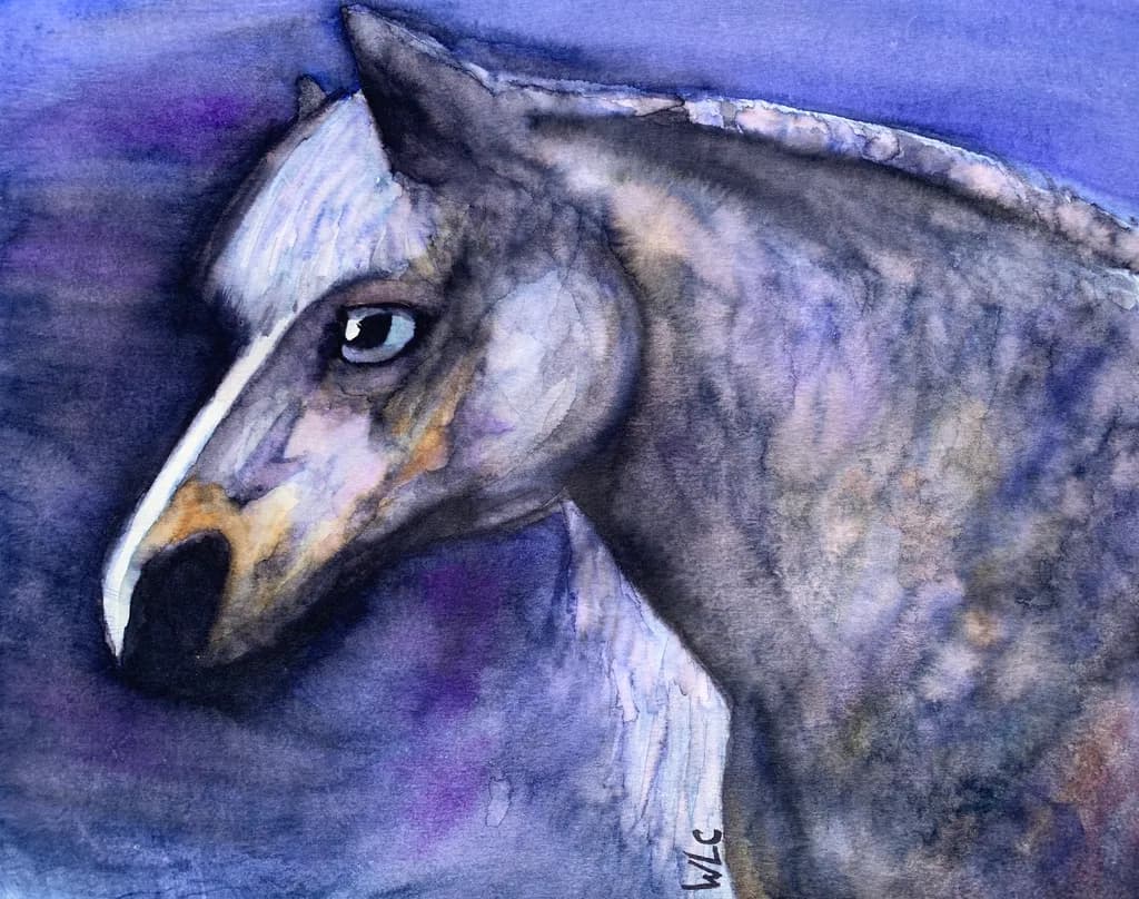 Blue Heron Portrait