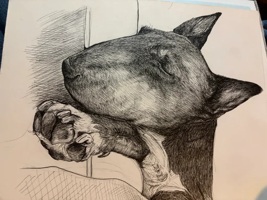 Resting Canine Portrait