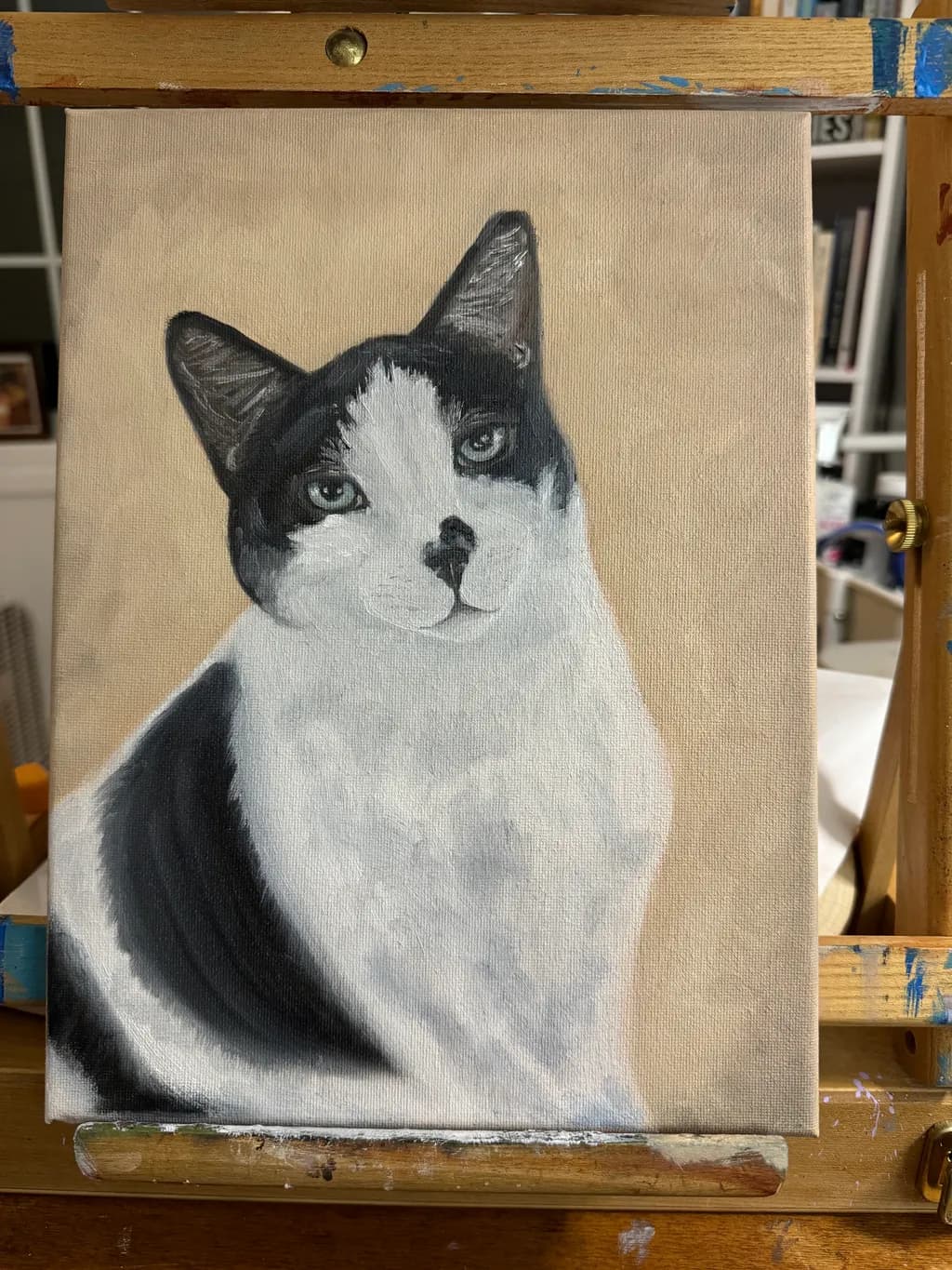 Black and White Cat Portrait